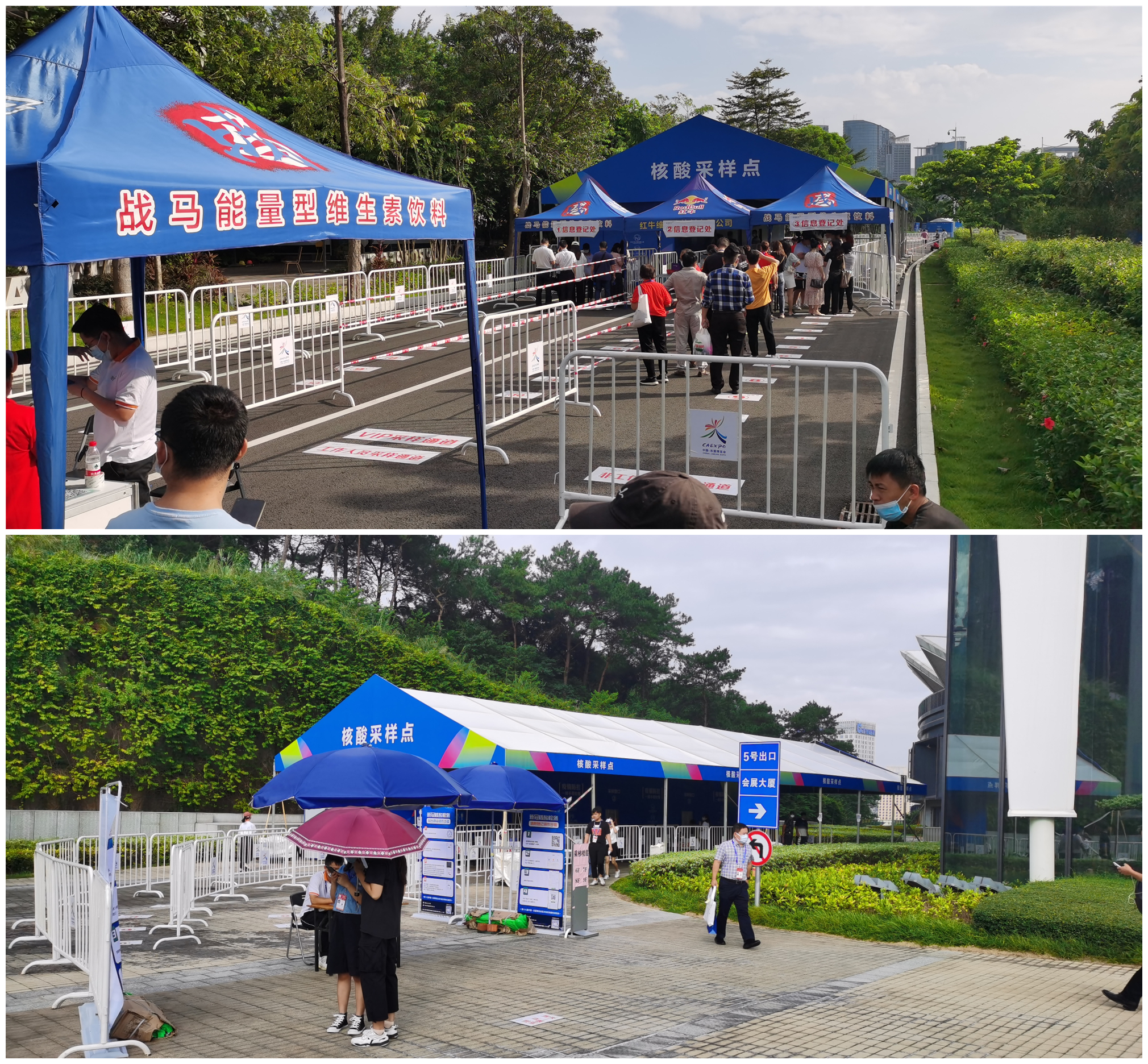 香港马料正版资料