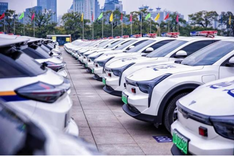 香港马料正版资料