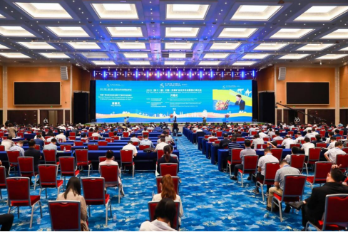 香港马料正版资料