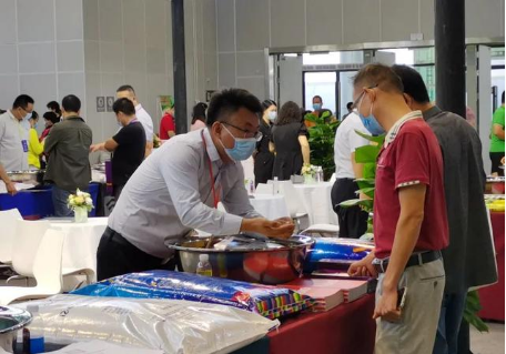 香港马料正版资料