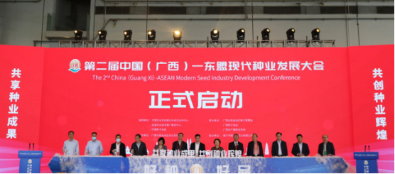 香港马料正版资料