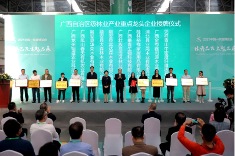 香港马料正版资料