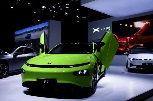 香港马料正版资料