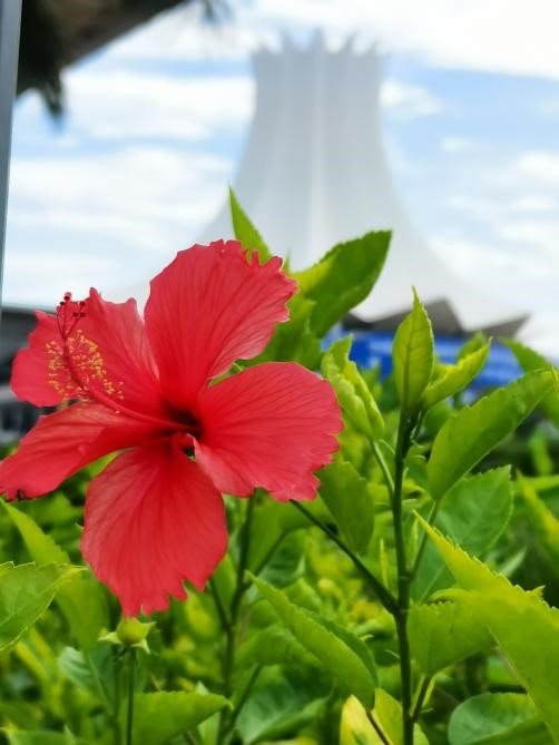 香港马料正版资料