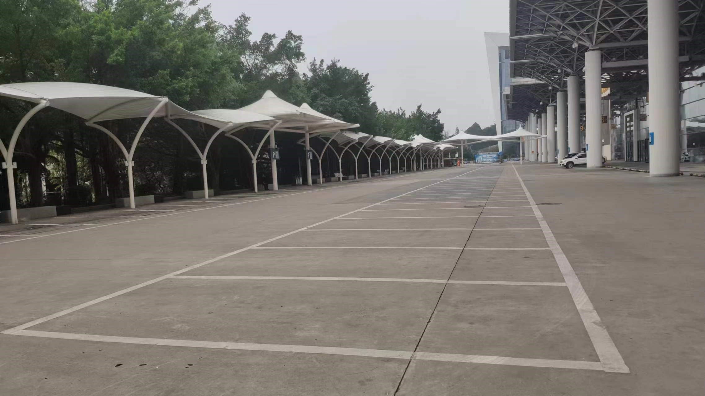 香港马料正版资料