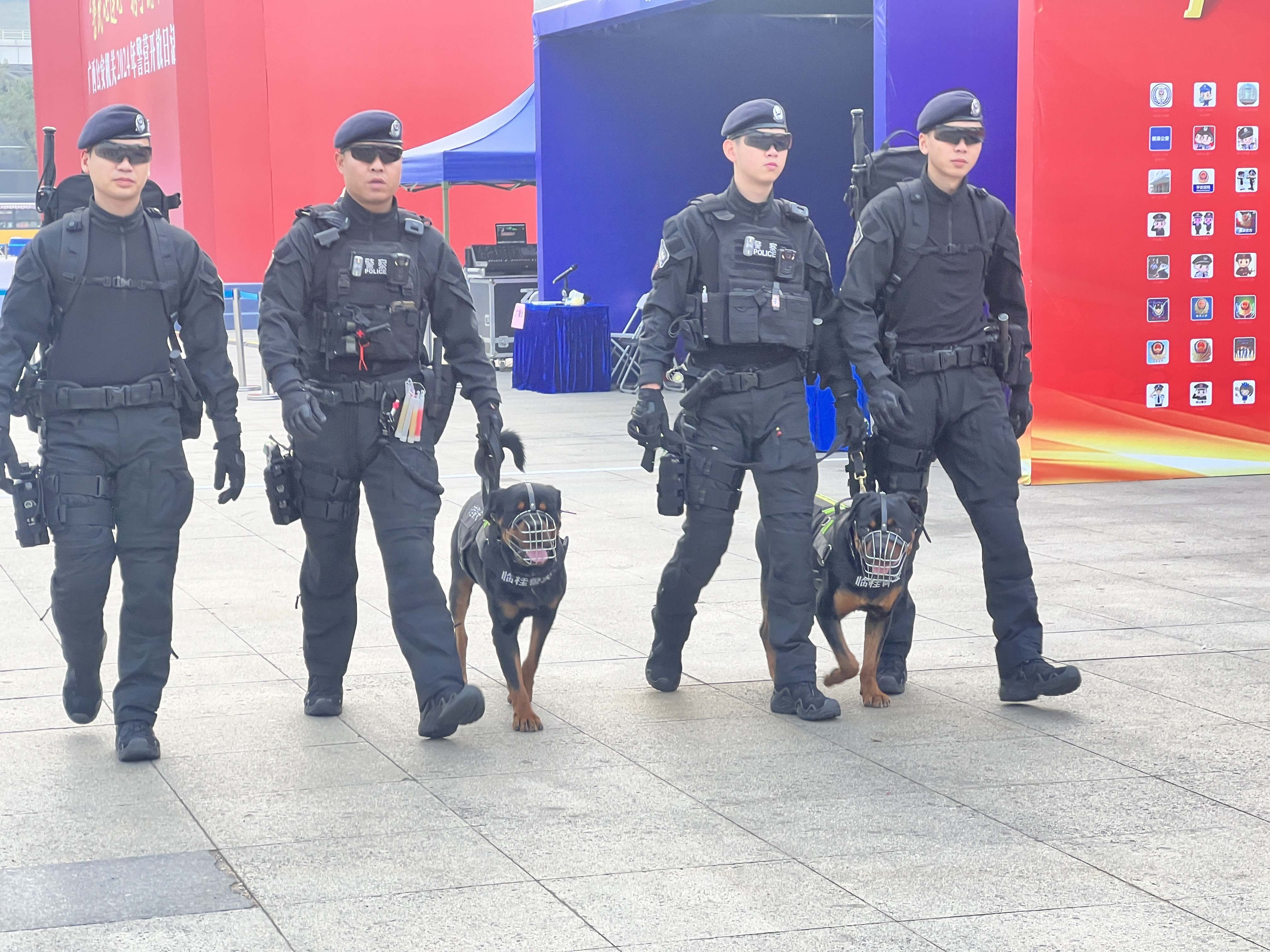 香港马料正版资料