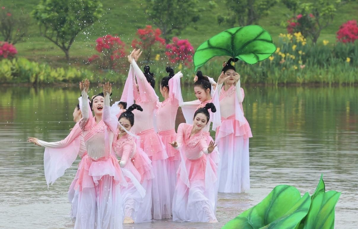 香港马料正版资料