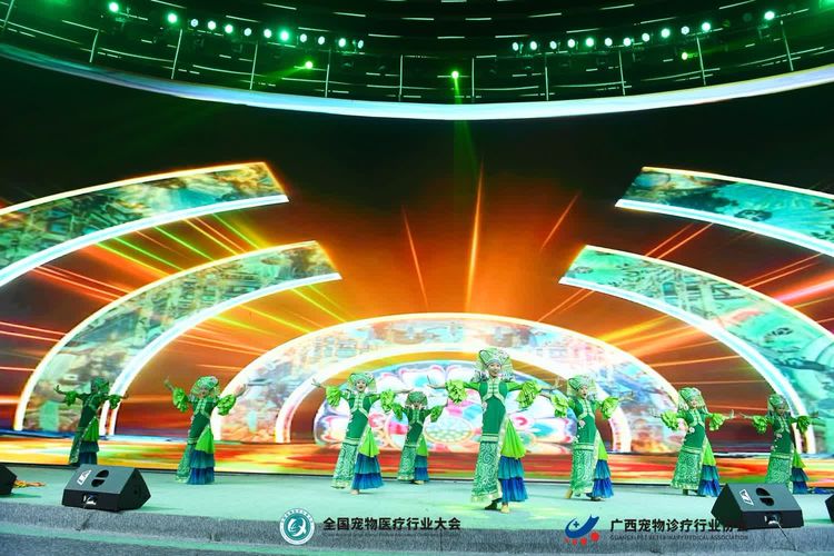 香港马料正版资料