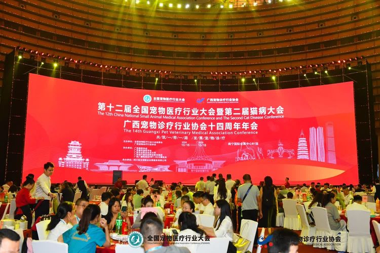 香港马料正版资料