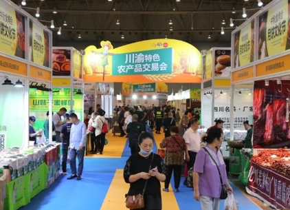 香港马料正版资料