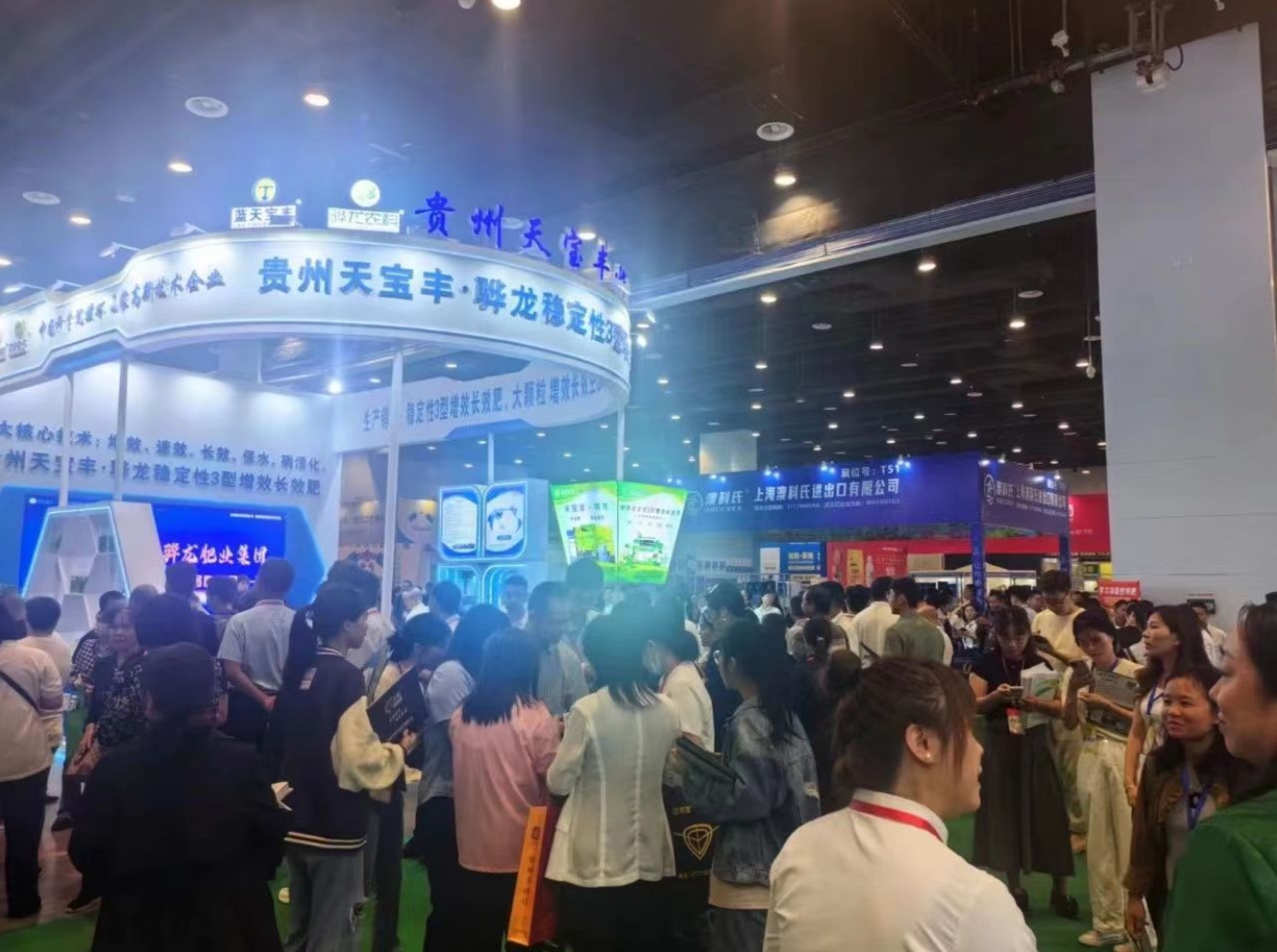 香港马料正版资料