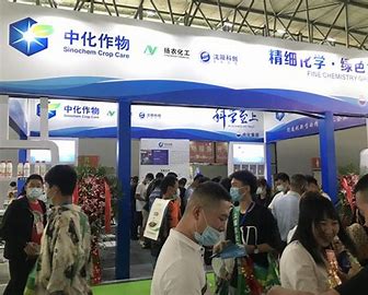 香港马料正版资料