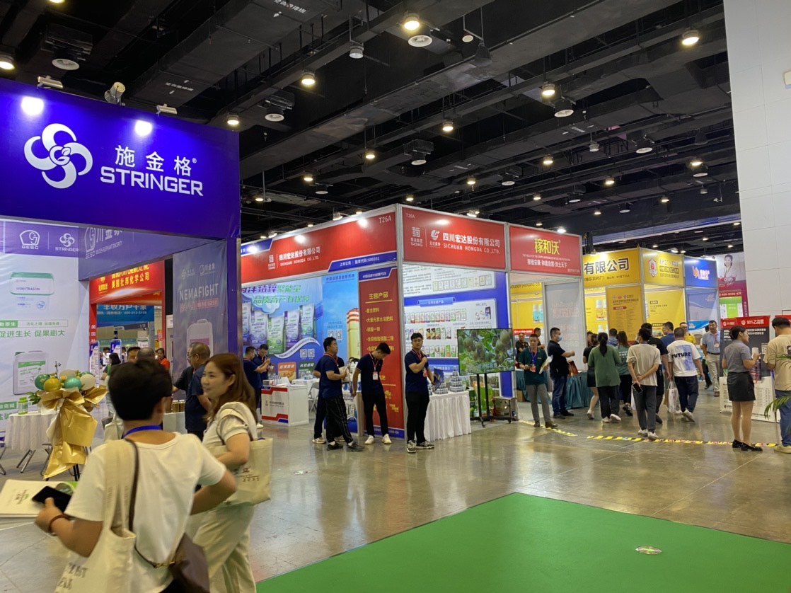 香港马料正版资料