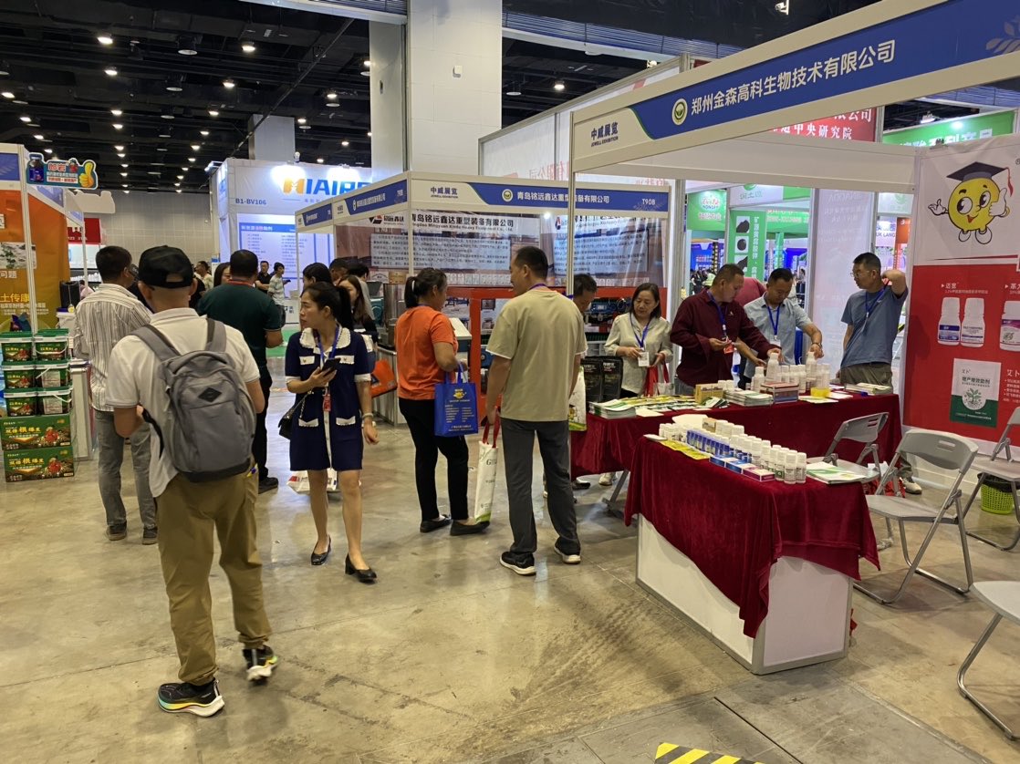 香港马料正版资料