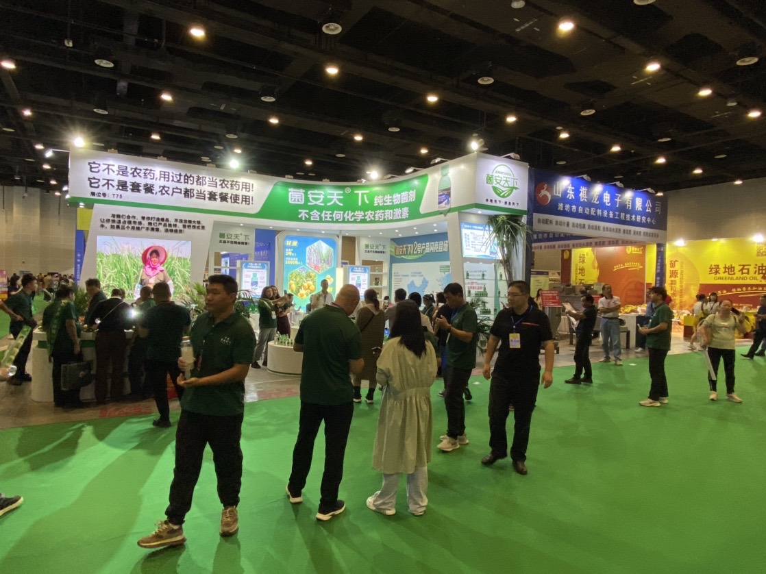 香港马料正版资料