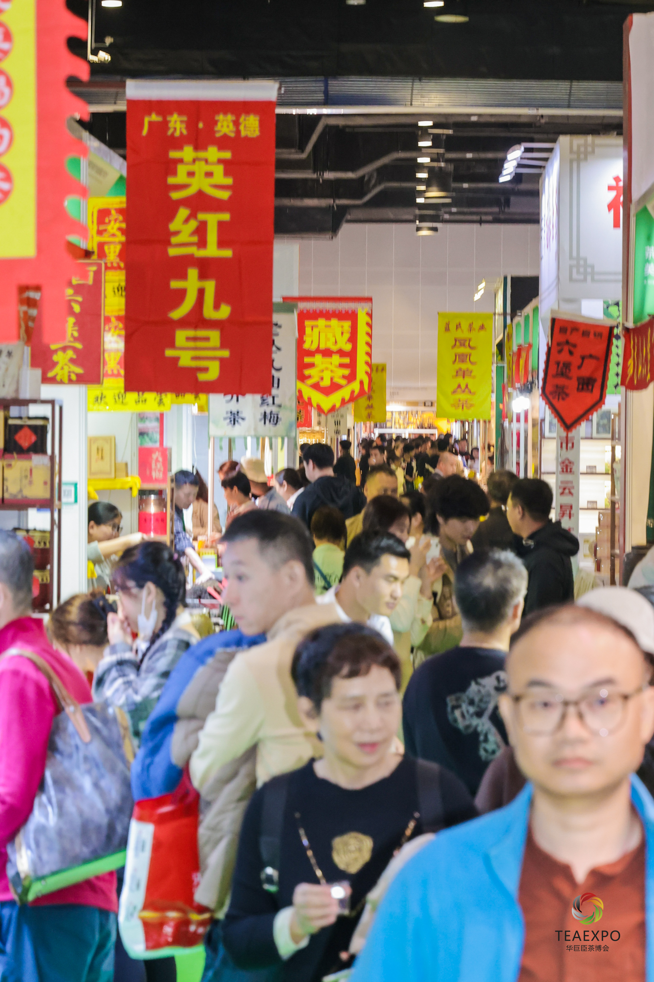 香港马料正版资料