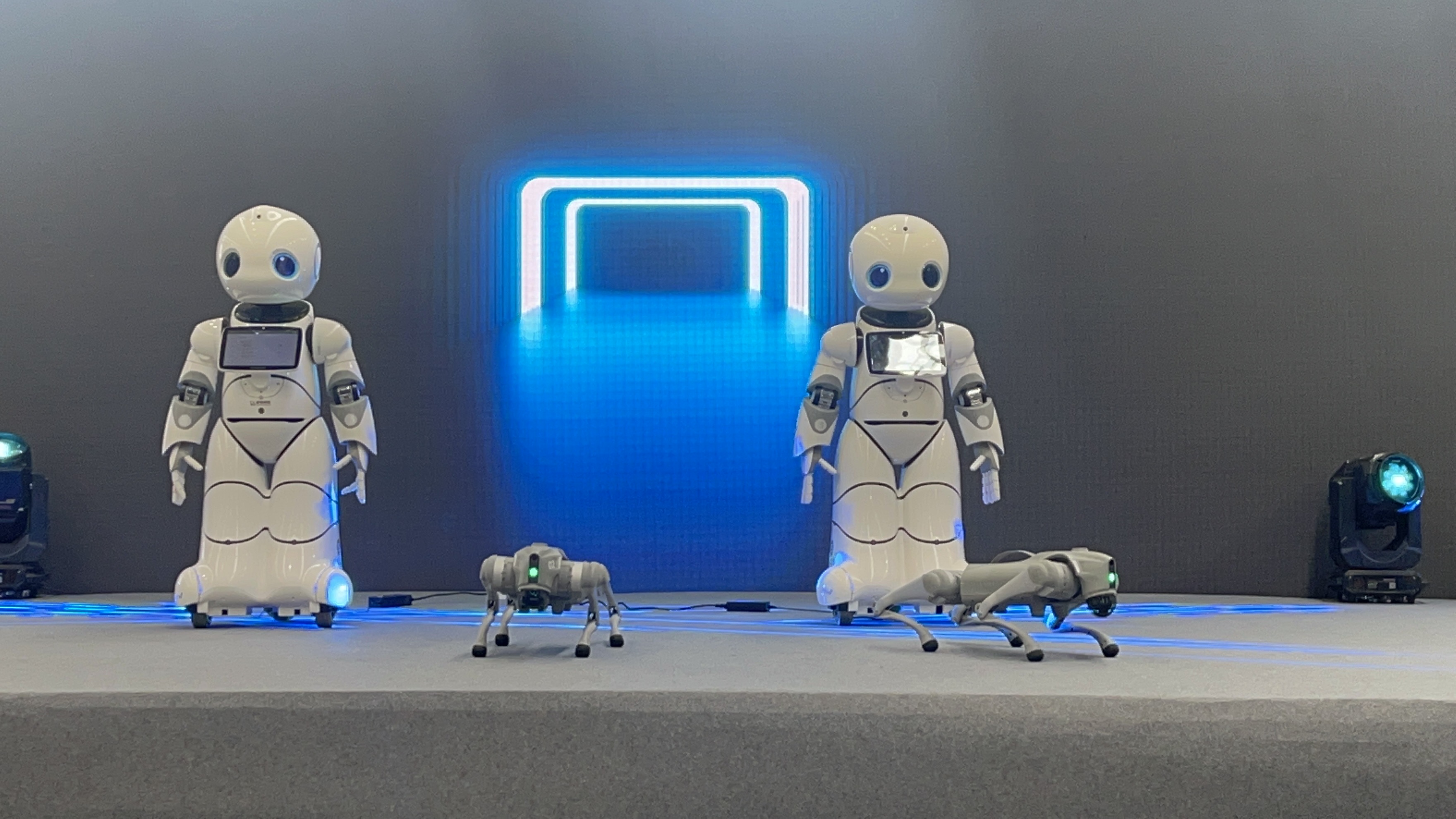 香港马料正版资料