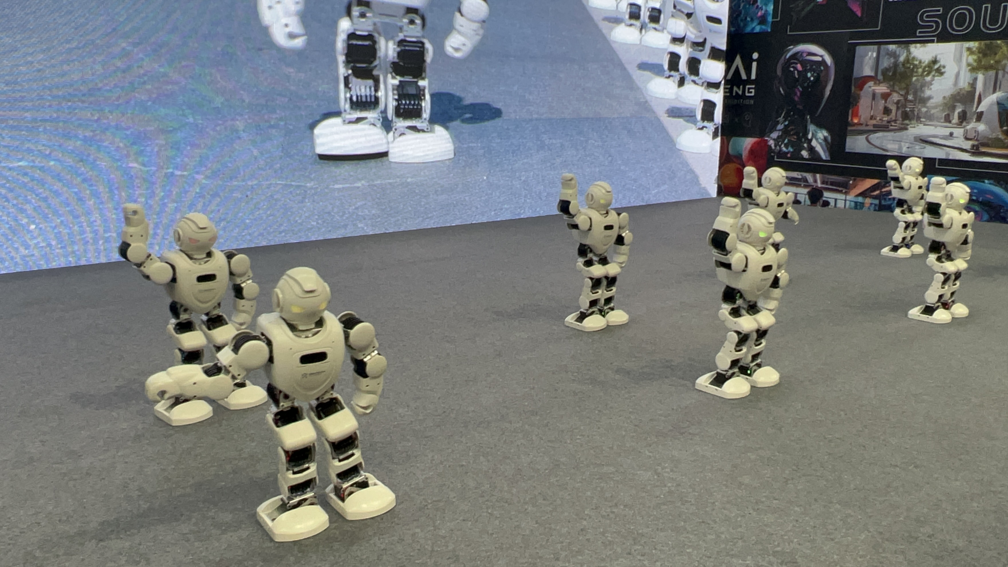 香港马料正版资料