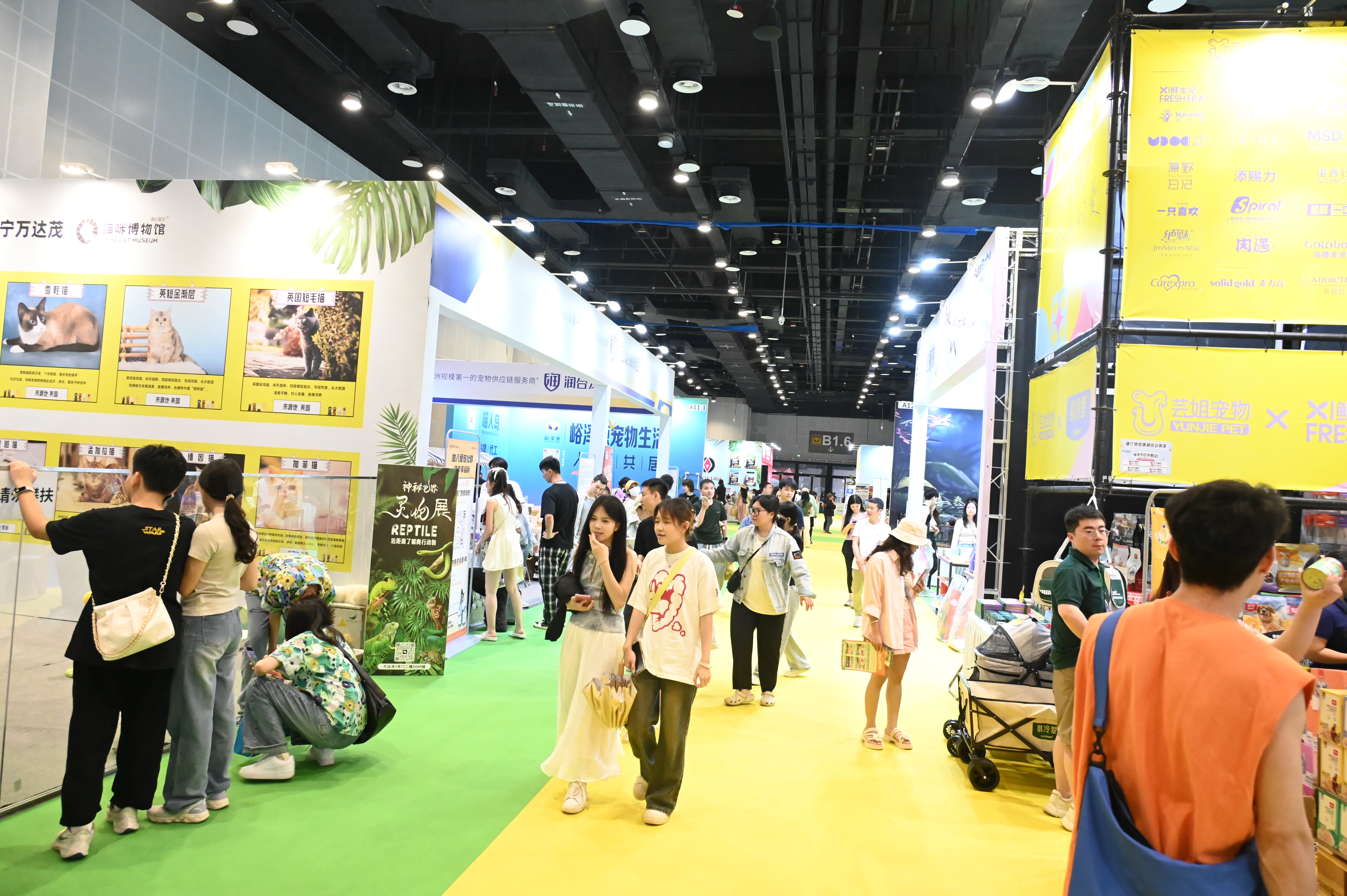 香港马料正版资料