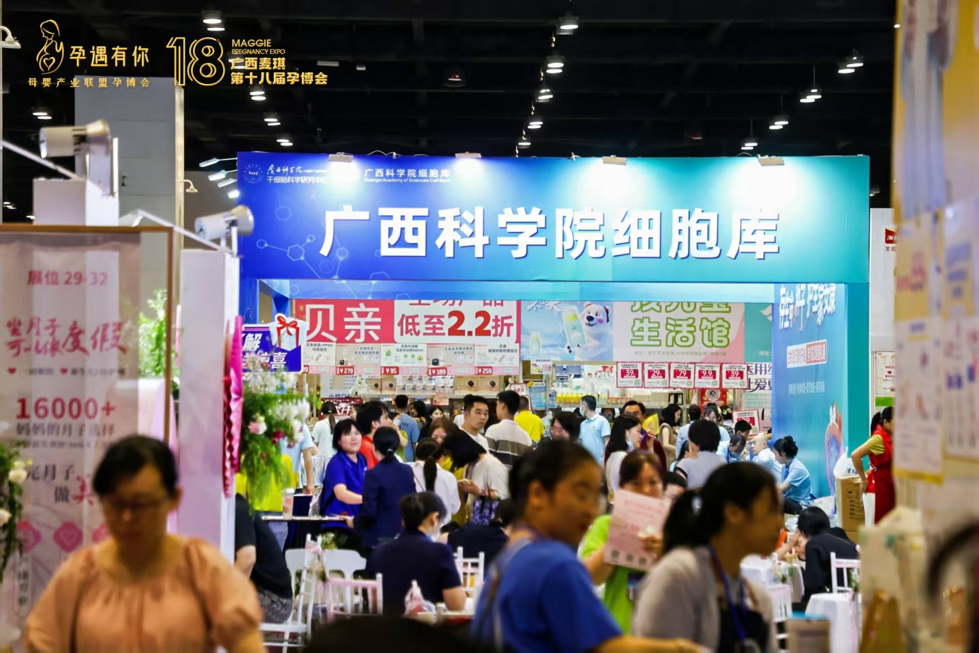 香港马料正版资料