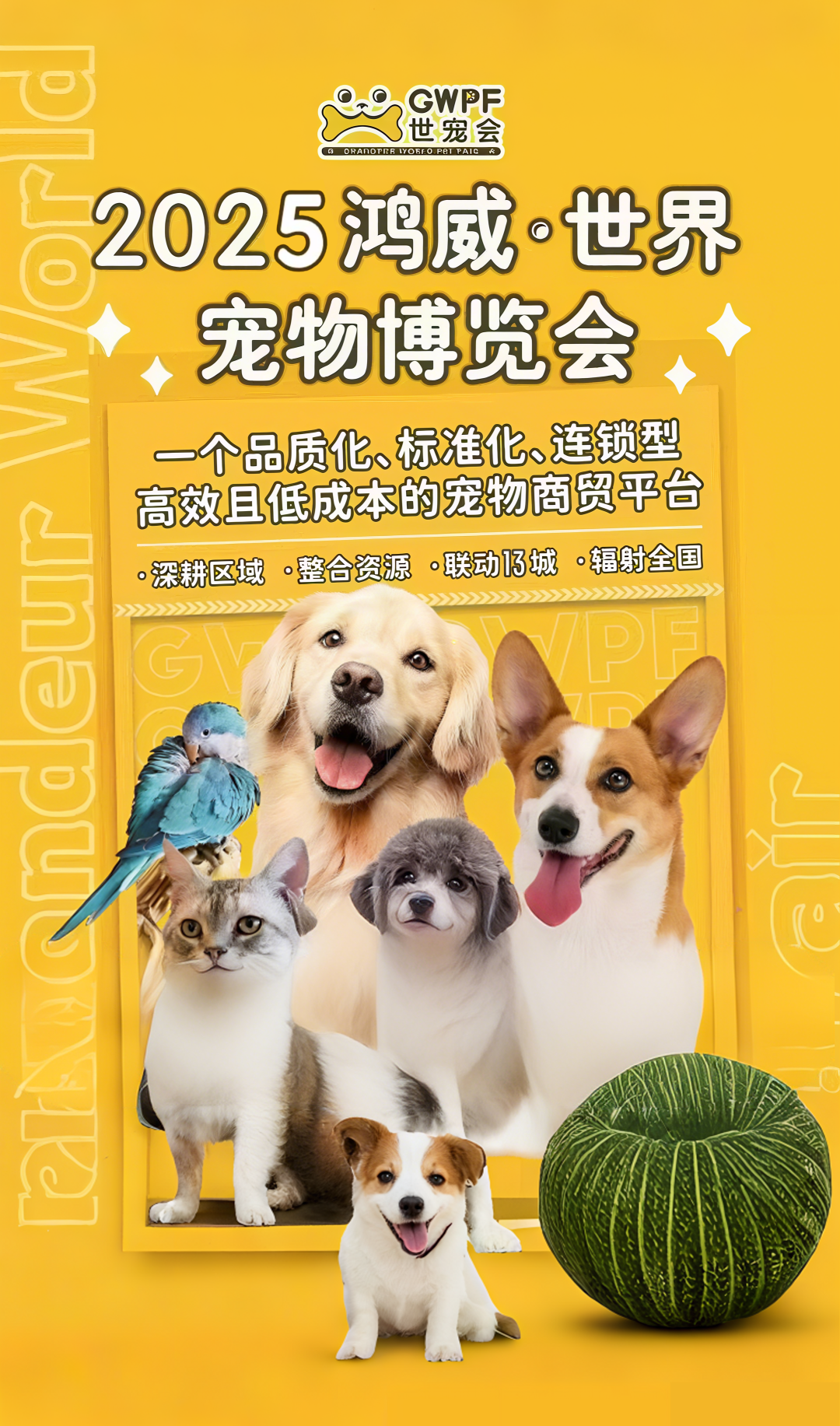 香港马料正版资料