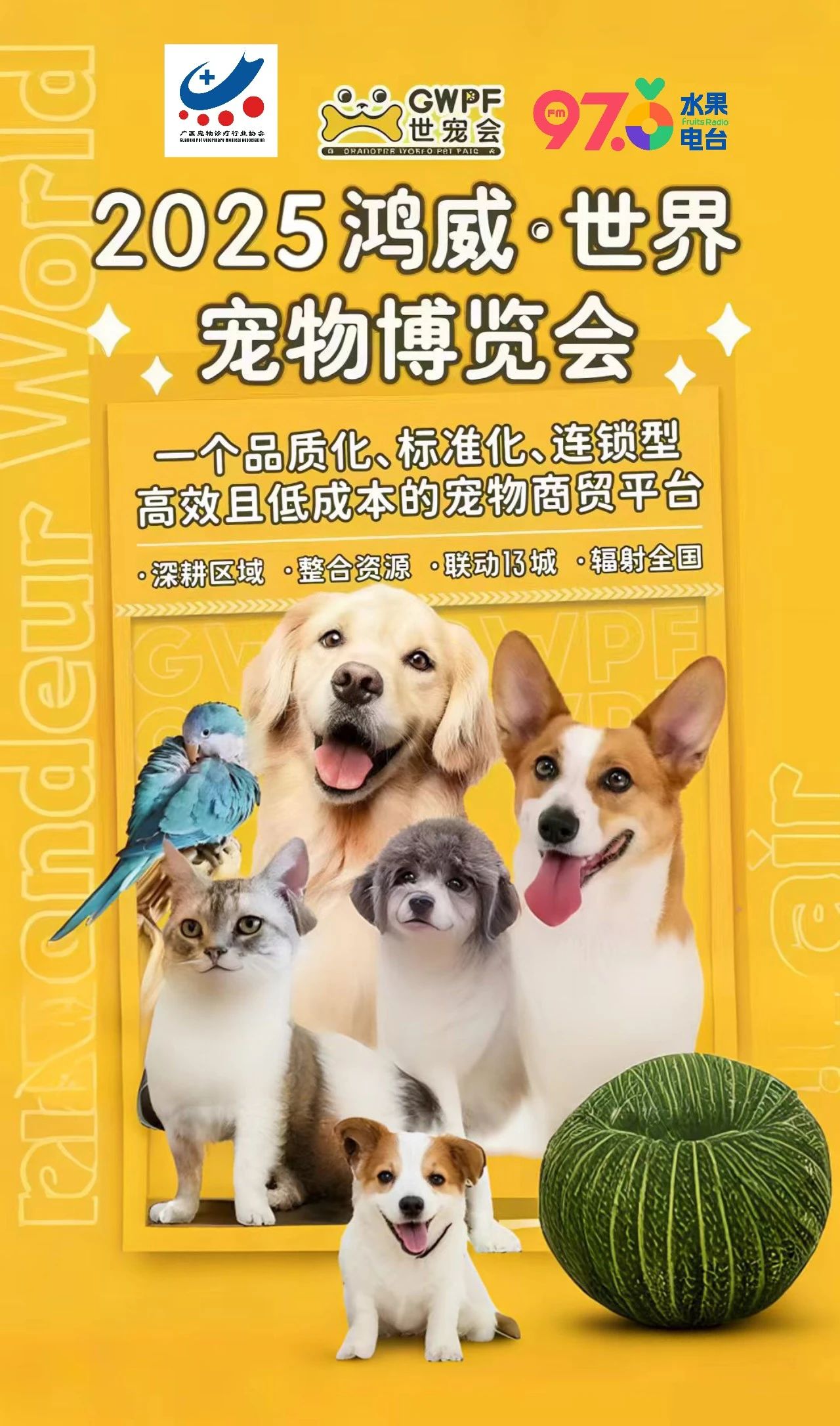 香港马料正版资料