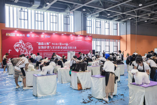 香港马料正版资料