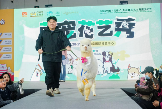 香港马料正版资料