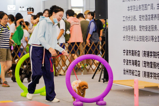 香港马料正版资料