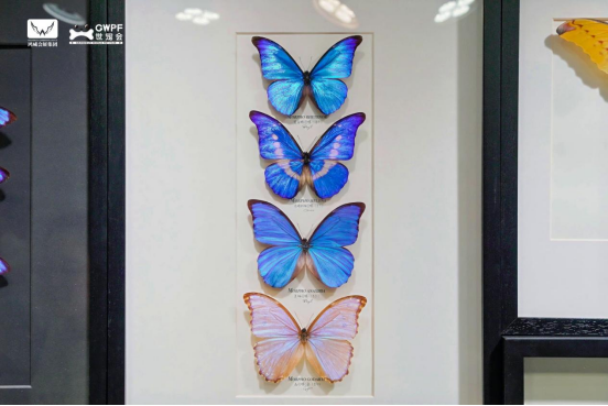 香港马料正版资料