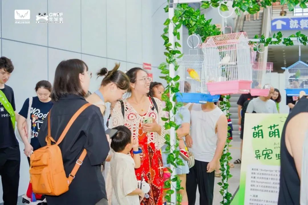 香港马料正版资料