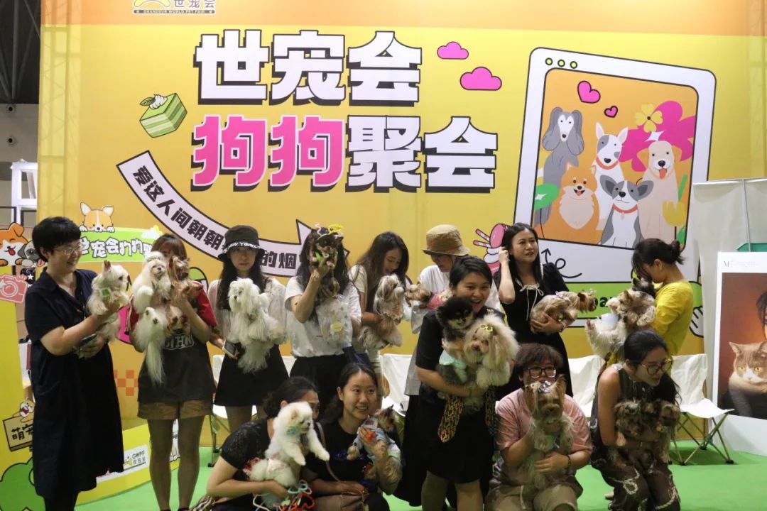 香港马料正版资料