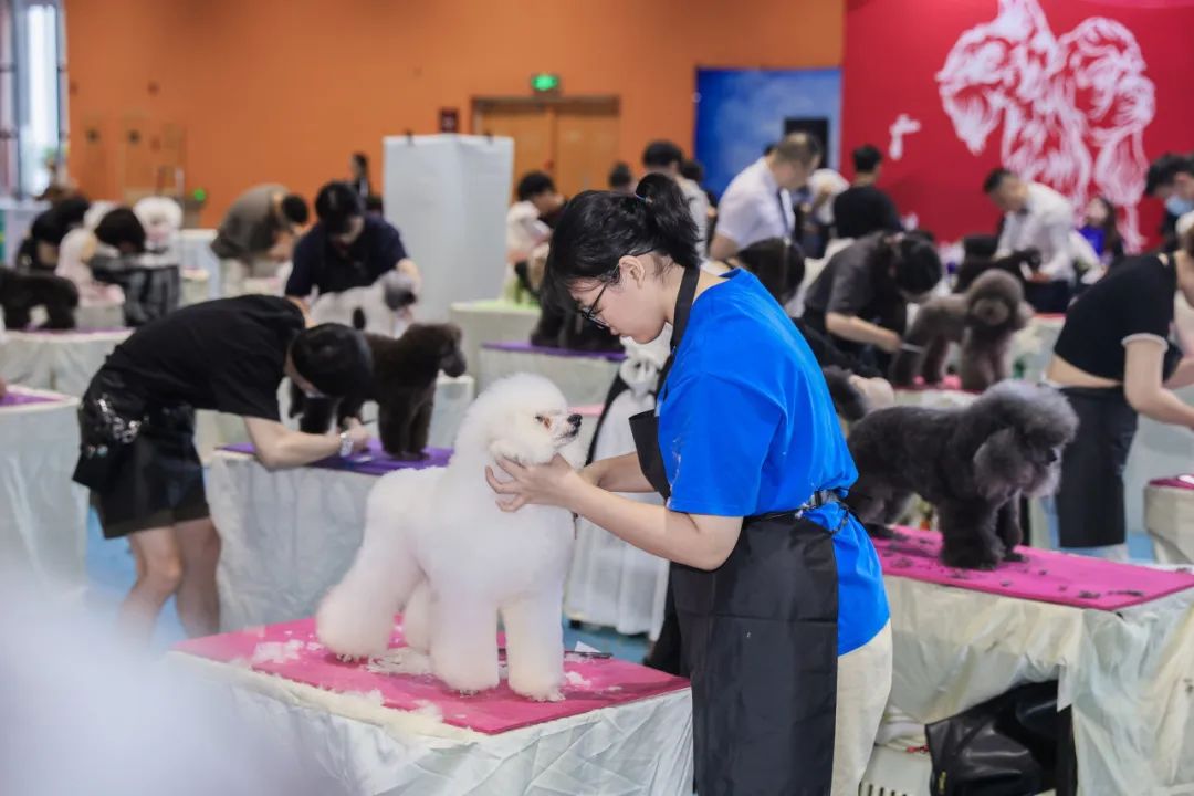 香港马料正版资料