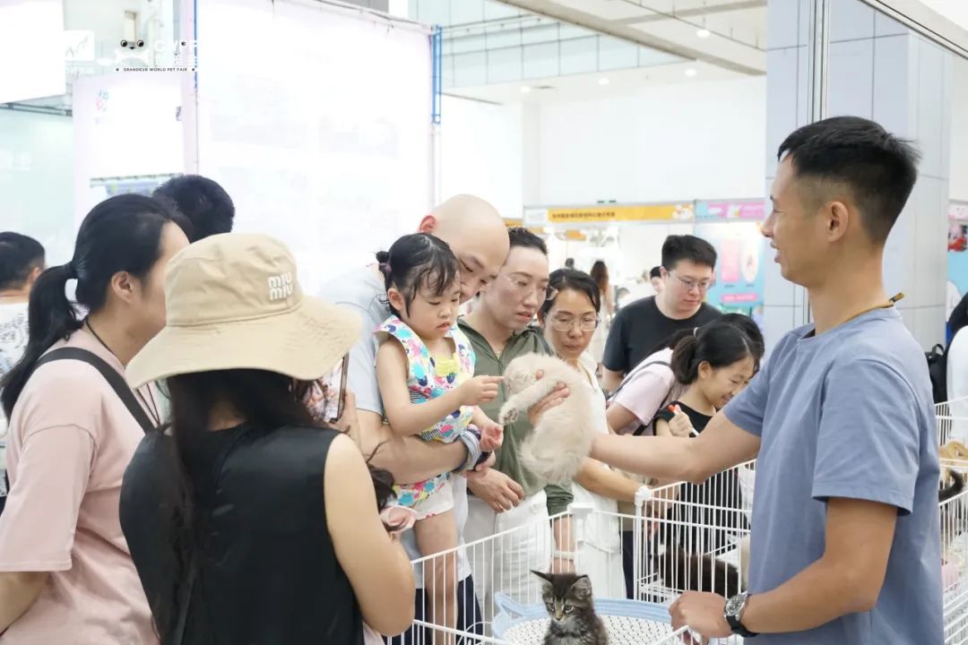 香港马料正版资料