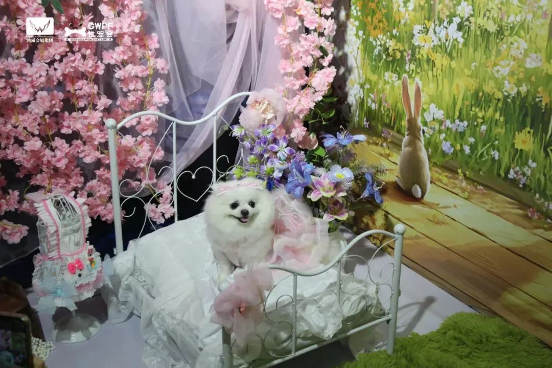 香港马料正版资料