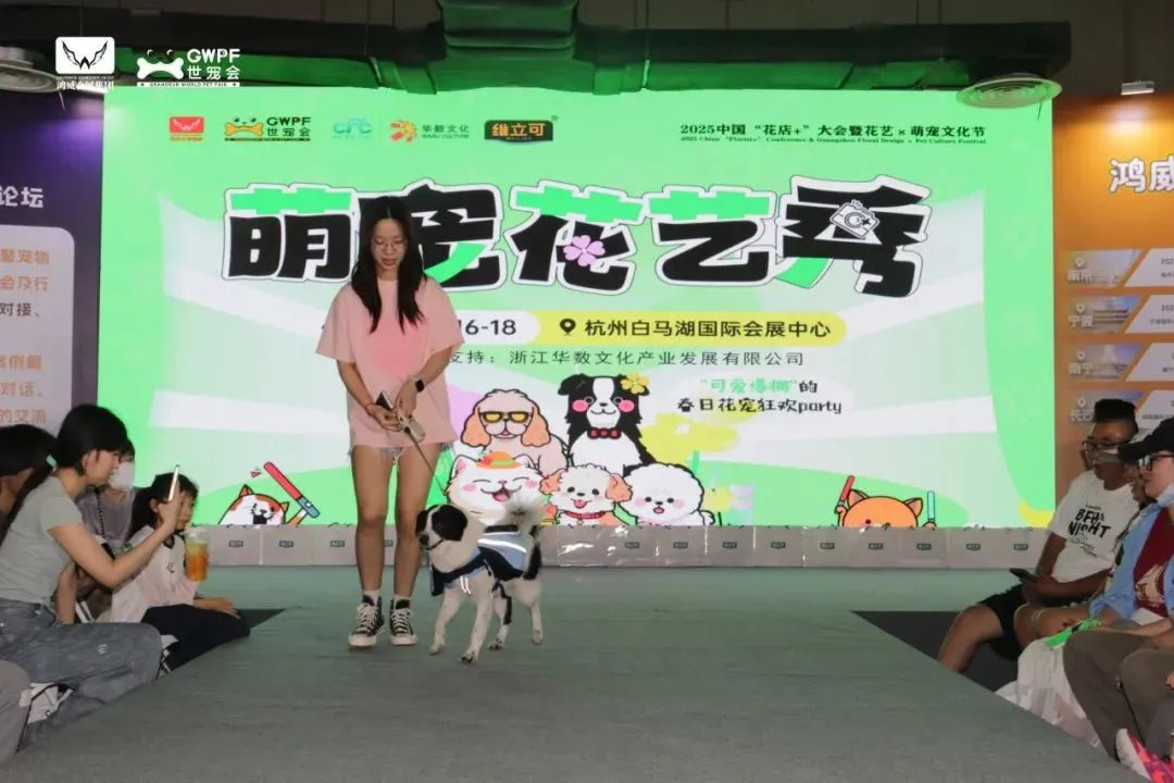 香港马料正版资料