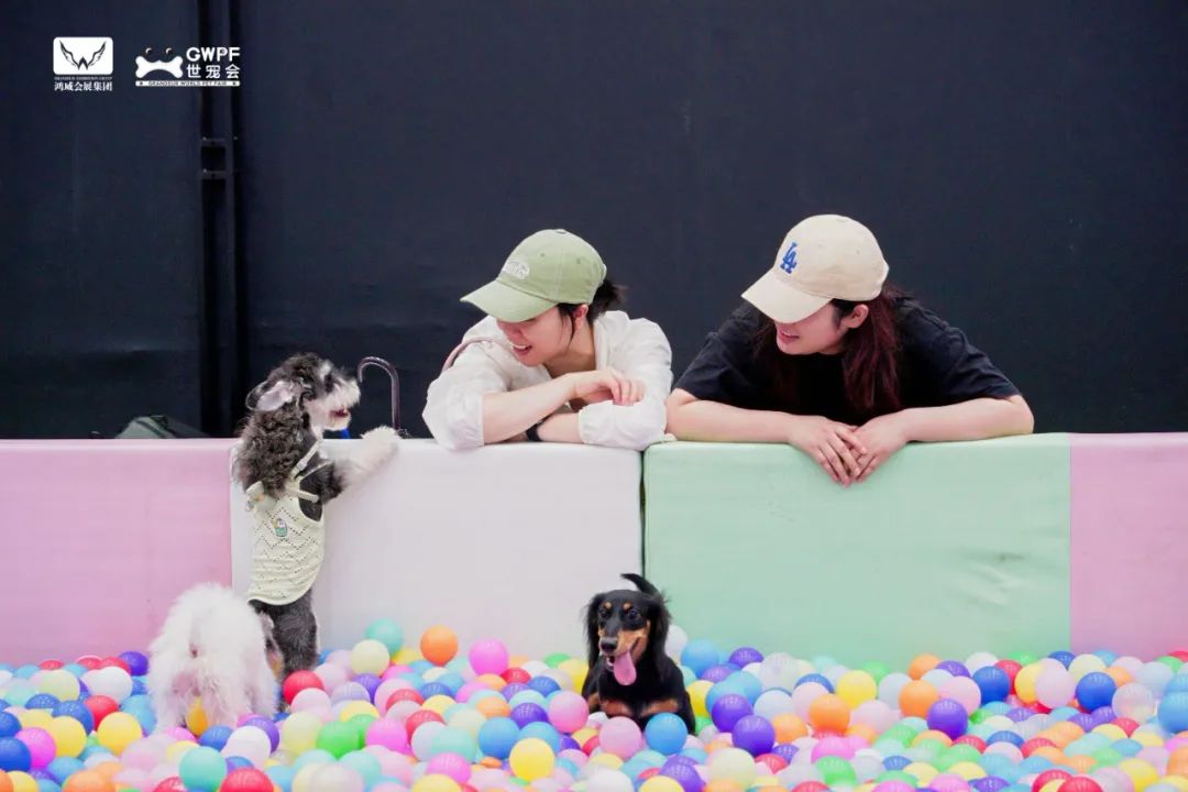 香港马料正版资料