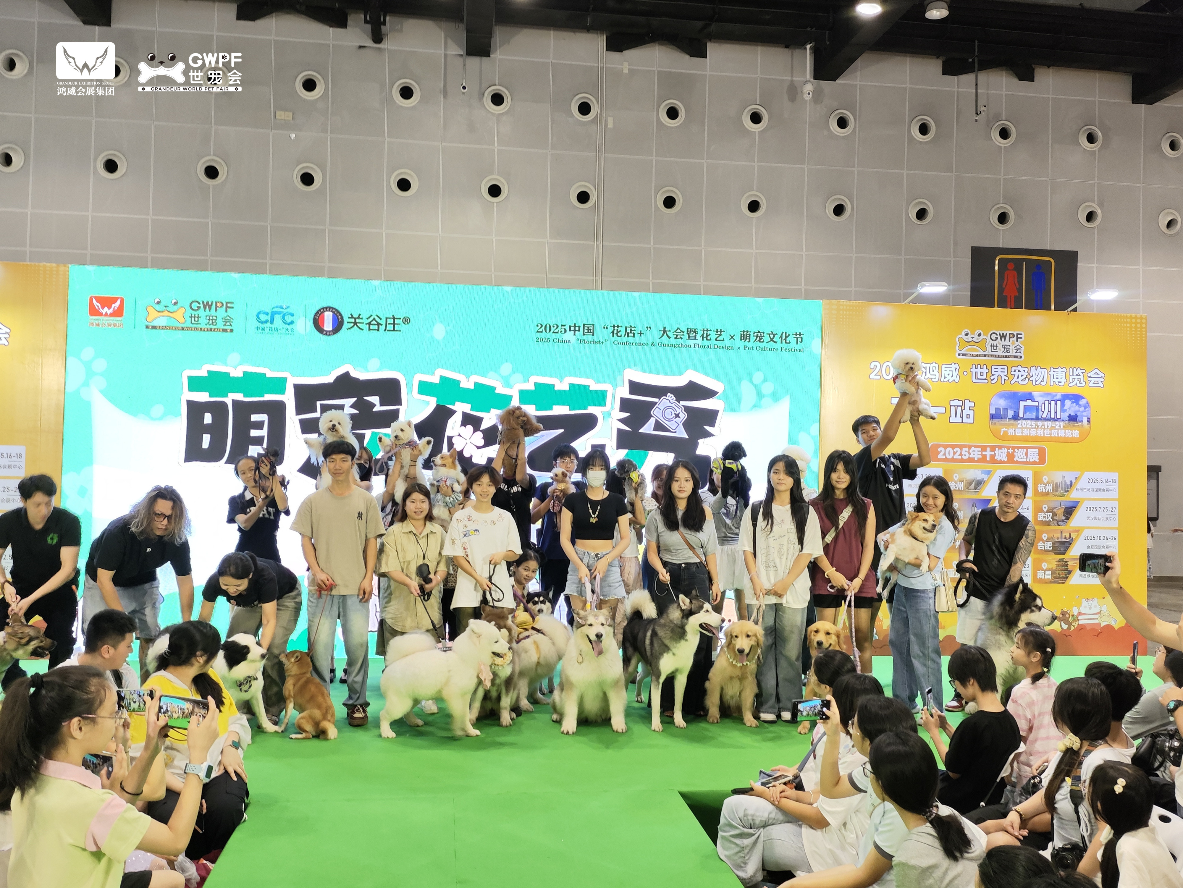 香港马料正版资料