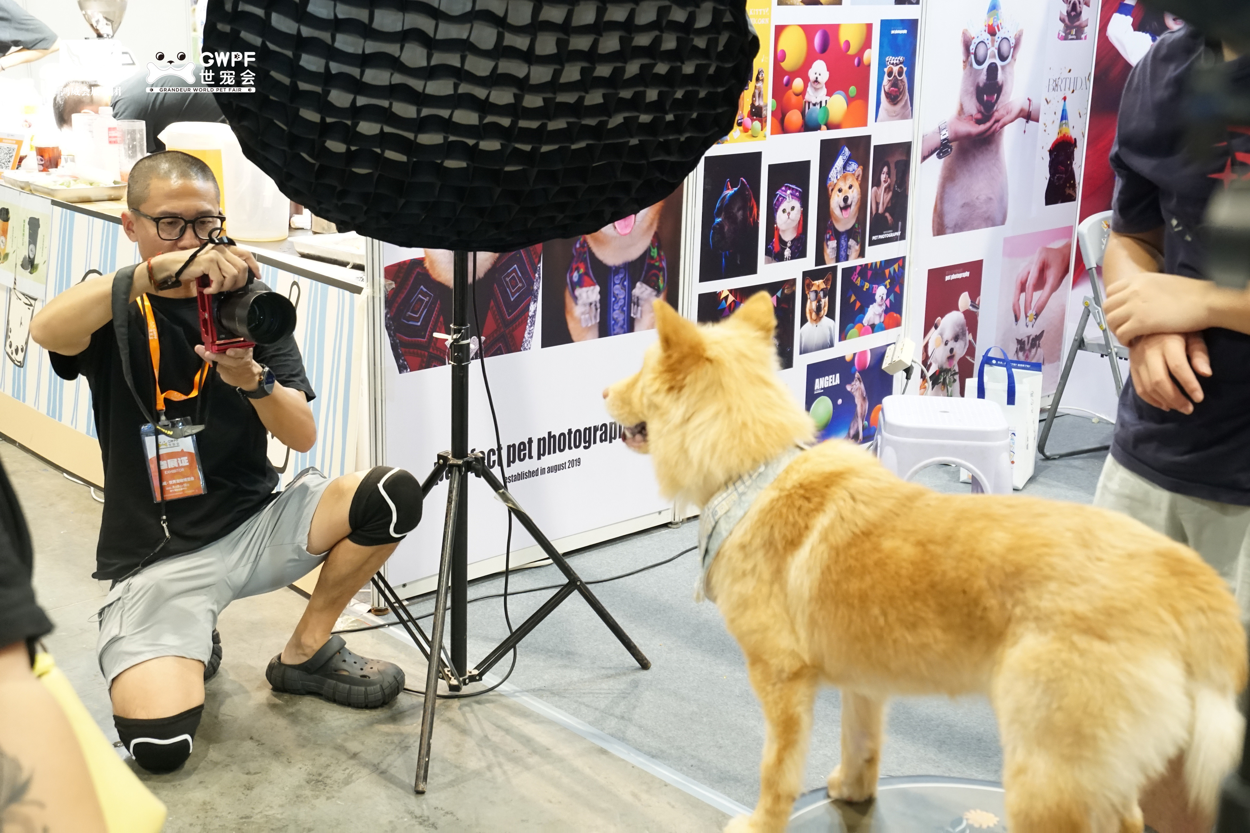 香港马料正版资料