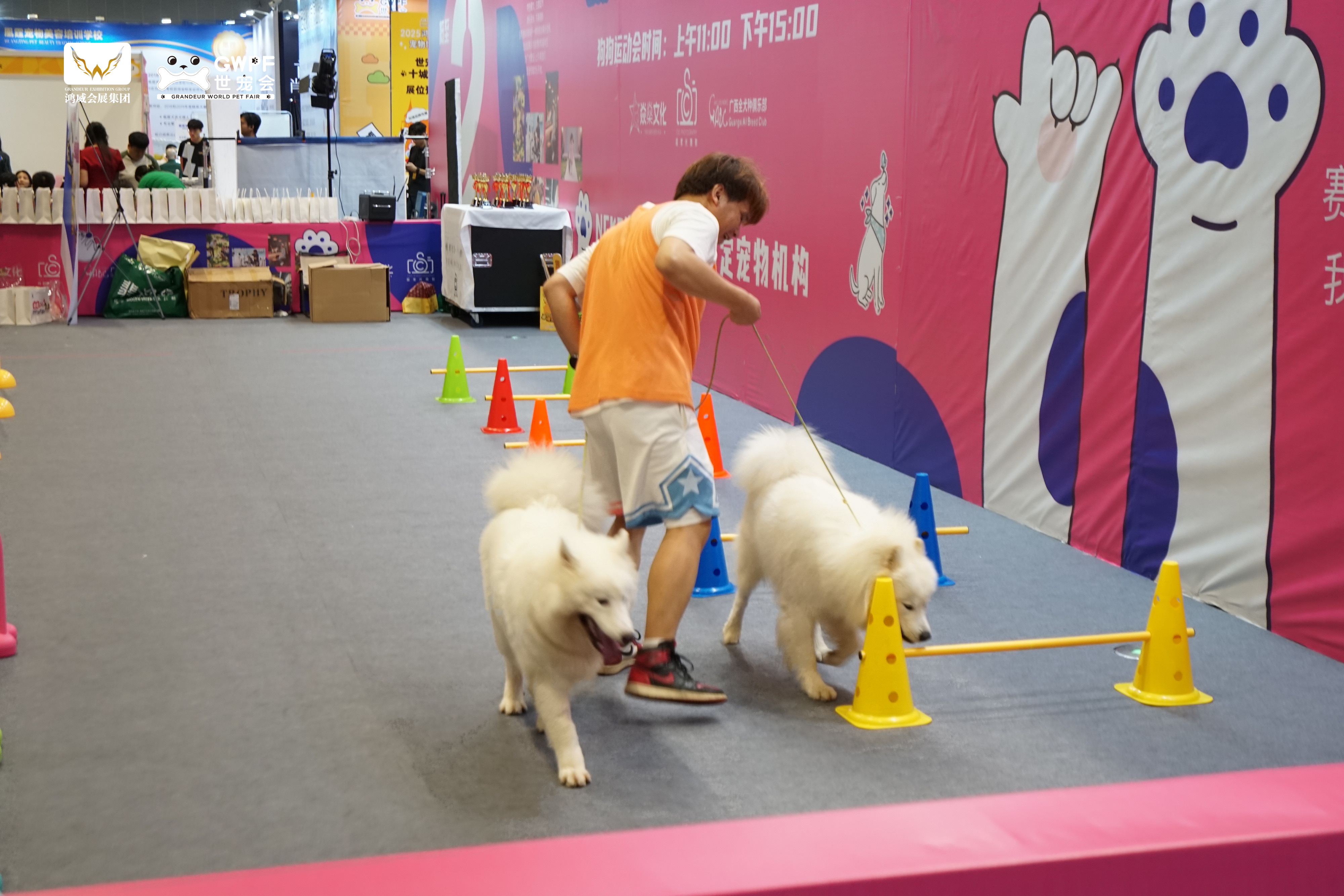 香港马料正版资料