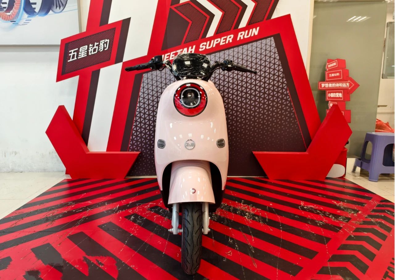 香港马料正版资料