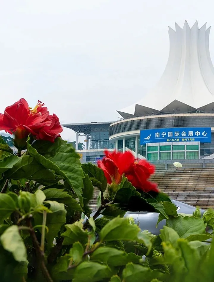 香港马料正版资料