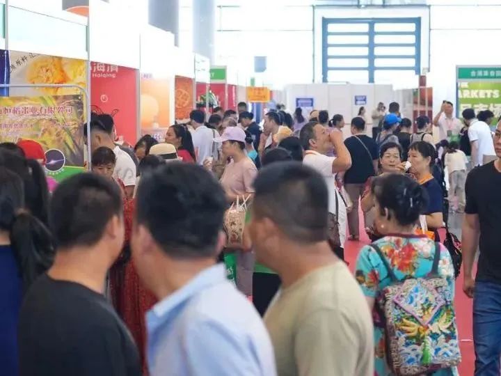 香港马料正版资料