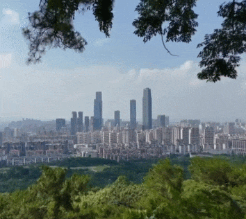 香港马料正版资料