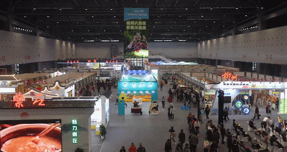 香港马料正版资料