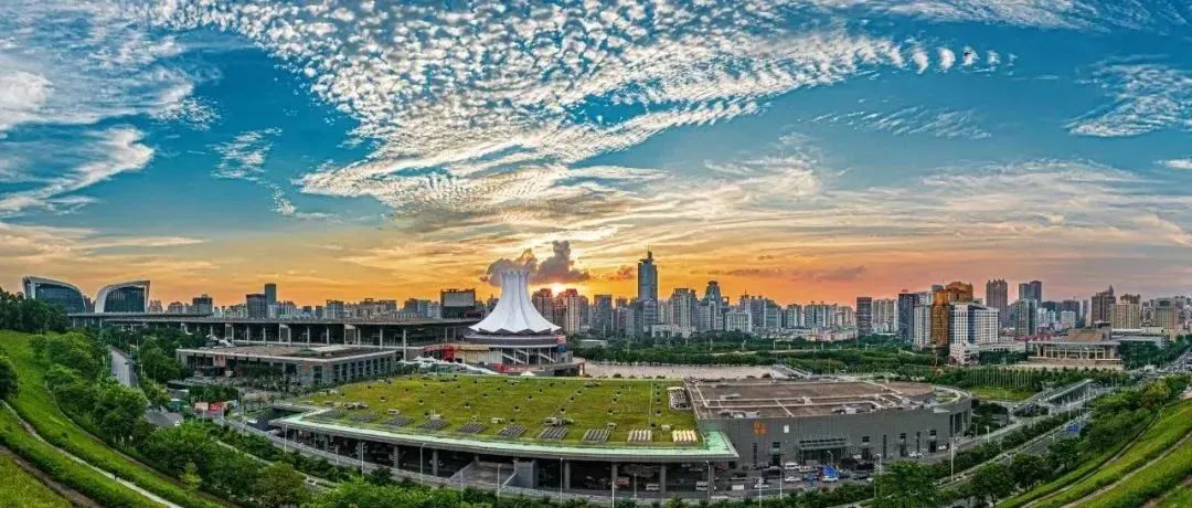 香港马料正版资料