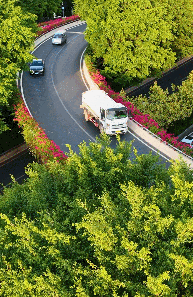 香港马料正版资料