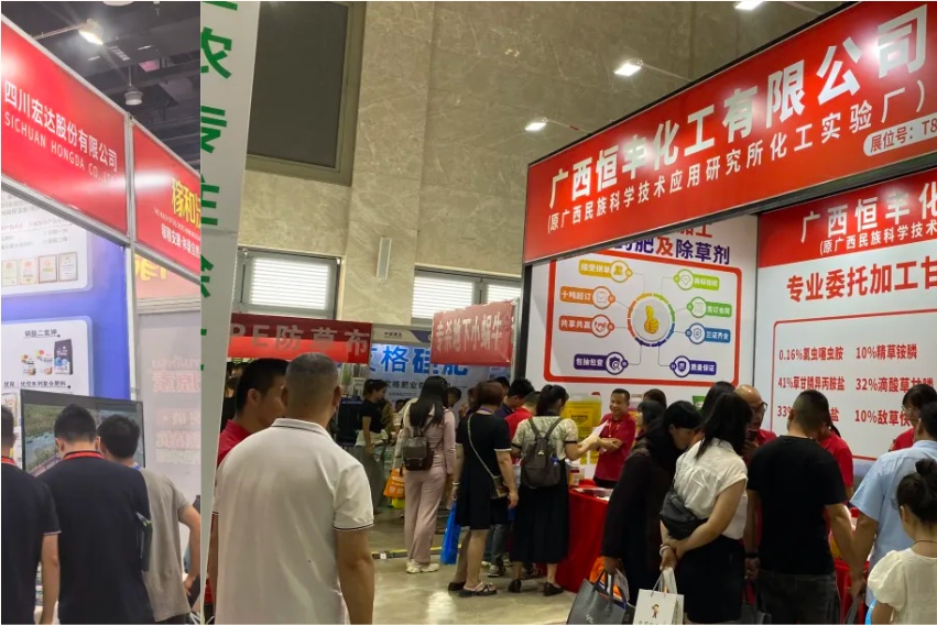 香港马料正版资料