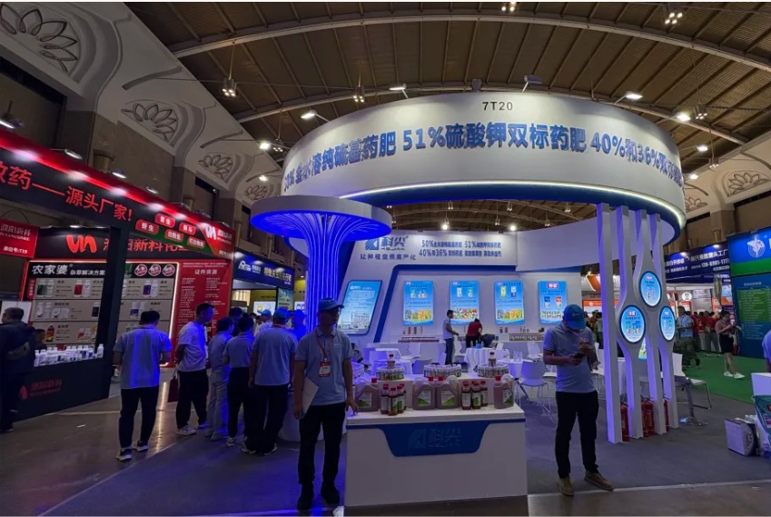 香港马料正版资料