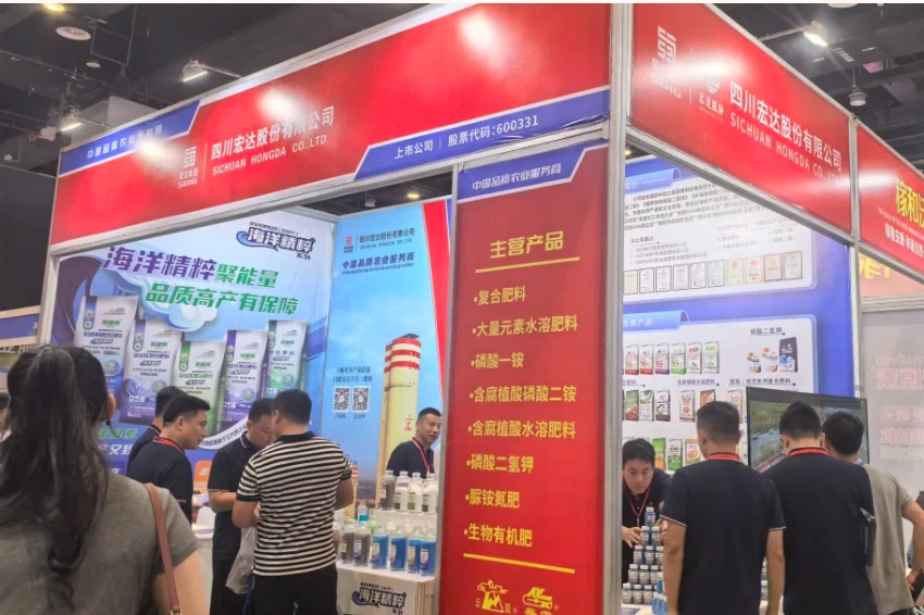 香港马料正版资料